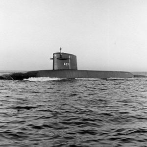 Meet your Posher, Gary